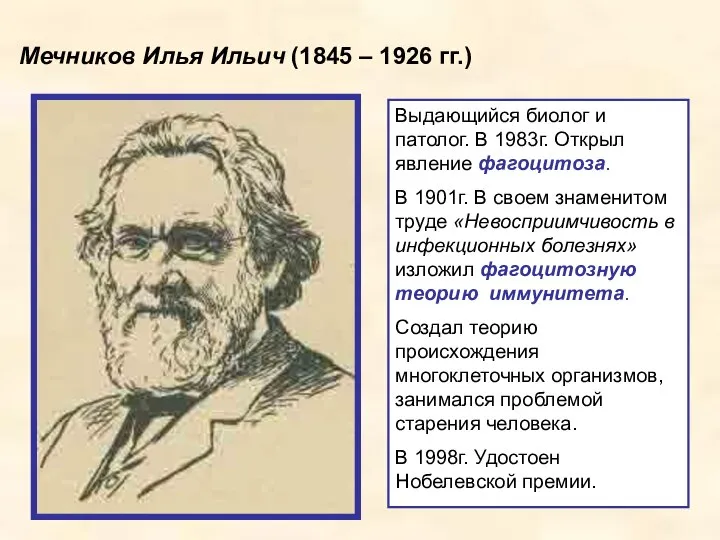 Мечников Илья Ильич (1845 – 1926 гг.) Выдающийся биолог и патолог. В