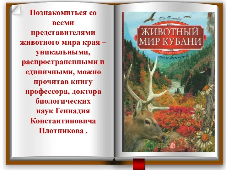 Познакомиться со всеми представителями животного мира края – уникальными, распространенными и единичными,