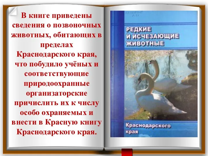 В книге приведены сведения о позвоночных животных, обитающих в пределах Краснодарского края,