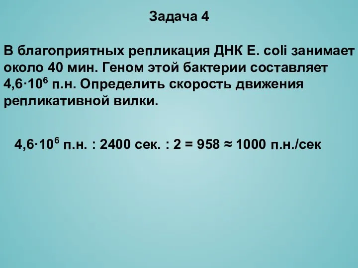 4,6·106 п.н. : 2400 сек. : 2 = 958 ≈ 1000 п.н./сек