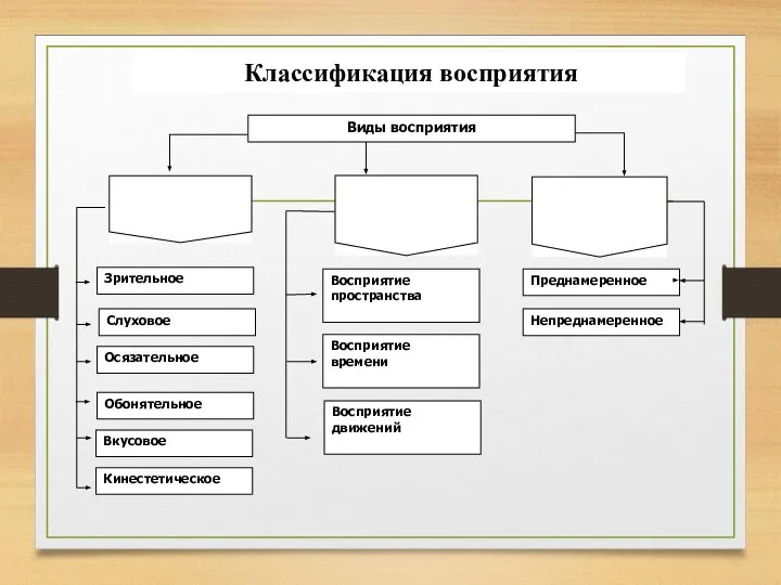 Классификация восприятия Слуховое Зрительное Восприятие времени Восприятие пространства Непреднамеренное Преднамеренное Кинестетическое Вкусовое