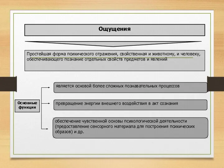 Ощущения Простейшая форма психического отражения, свойственная и животному, и человеку, обеспечивающего познание