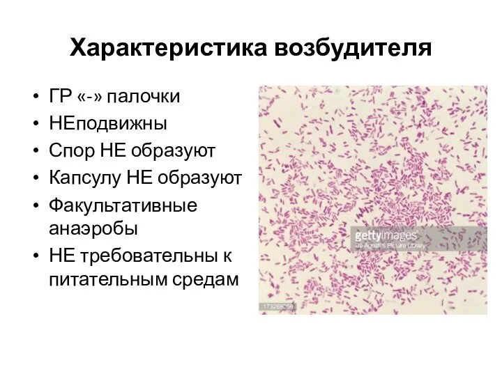 Характеристика возбудителя ГР «-» палочки НЕподвижны Спор НЕ образуют Капсулу НЕ образуют