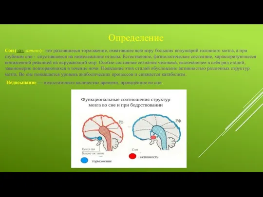 Определение Сон (лат. somnus)– это разлившееся торможение, охватившее всю кору больших полушарий