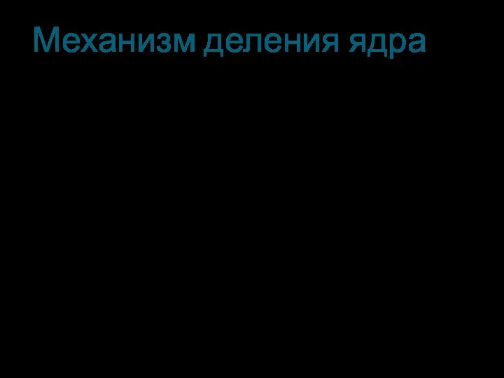 Механизм деления ядра Ядро урана-235 имеет форму шара. Поглотив лишний нейтрон, ядро