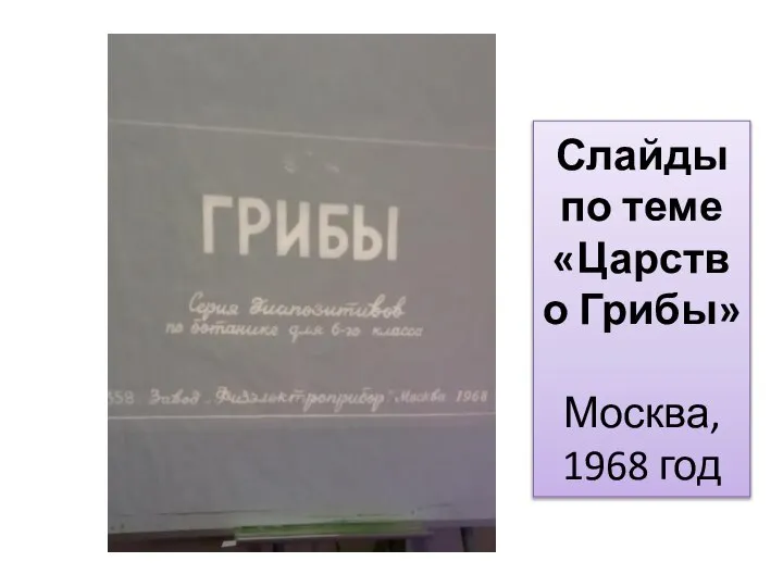 Слайды по теме Царство Грибы