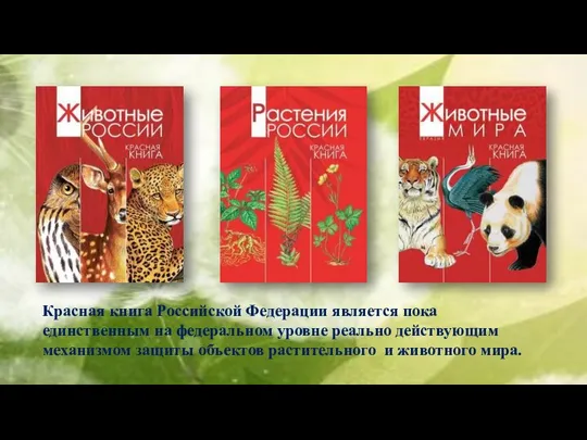 Красная книга Российской Федерации является пока единственным на федеральном уровне реально действующим
