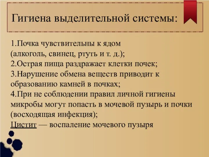 Гигиена выделительной системы: 1.Почка чувствительны к ядом (алкоголь, свинец, ртуть и т.