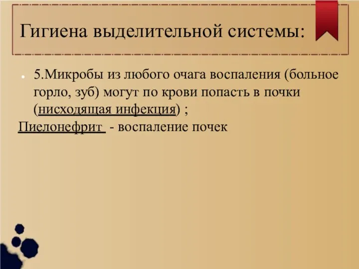 Гигиена выделительной системы: 5.Микробы из любого очага воспаления (больное горло, зуб) могут