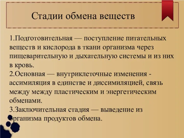 Стадии обмена веществ 1.Подготовительная — поступление питательных веществ и кислорода в ткани