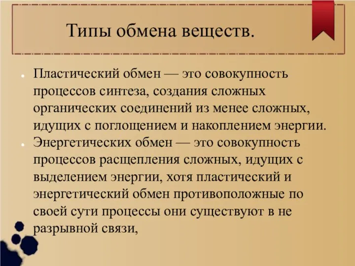 Типы обмена веществ. Пластический обмен — это совокупность процессов синтеза, создания сложных