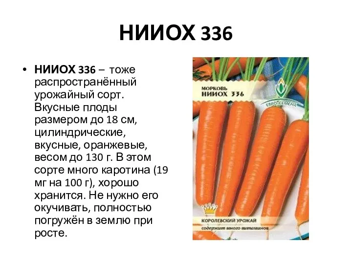 НИИОХ 336 НИИОХ 336 – тоже распространённый урожайный сорт. Вкусные плоды размером