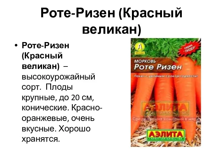 Роте-Ризен (Красный великан) Роте-Ризен (Красный великан) – высокоурожайный сорт. Плоды крупные, до