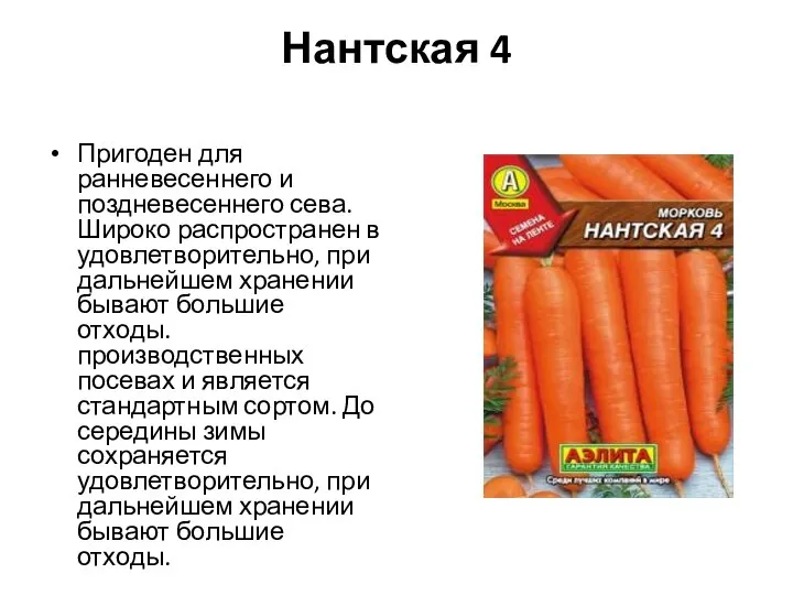 Нантская 4 Пригоден для ранневесеннего и поздневесеннего сева. Широко распространен в удовлетворительно,