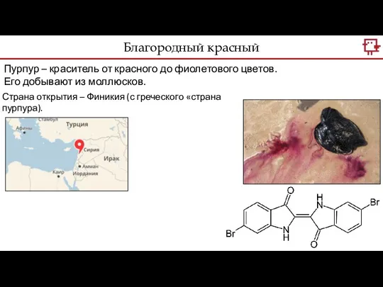 Благородный красный Пурпур – краситель от красного до фиолетового цветов. Его добывают