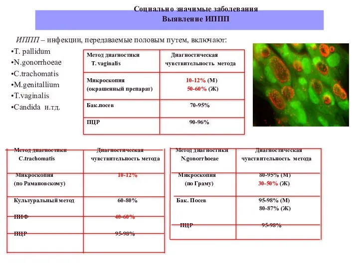 Социально значимые заболевания Выявление ИППП ИППП – инфекции, передаваемые половым путем, включают: