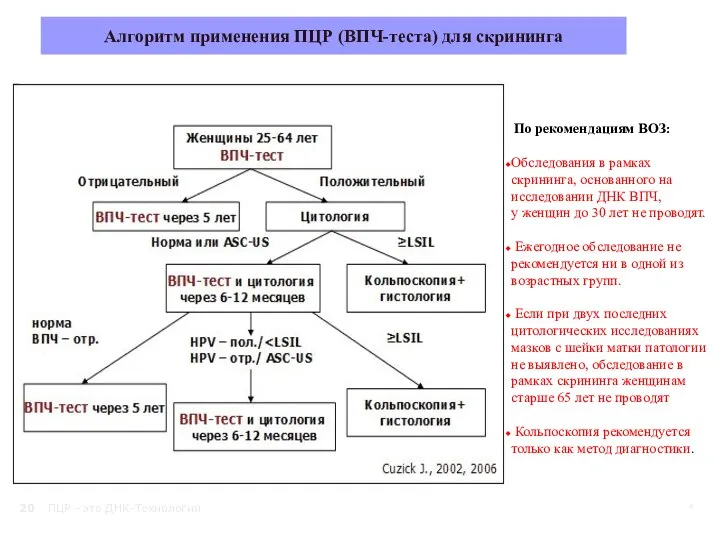 ПЦР - это ДНК-Технология * Алгоритм применения ПЦР (ВПЧ-теста) для скрининга По