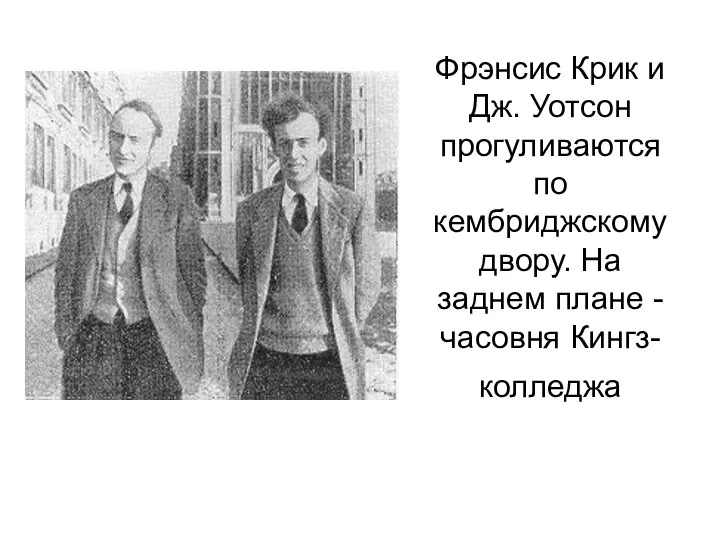 Фрэнсис Крик и Дж. Уотсон прогуливаются по кембриджскому двору. На заднем плане - часовня Кингз-колледжа