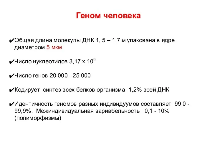 Геном человека Общая длина молекулы ДНК 1, 5 – 1,7 м упакована