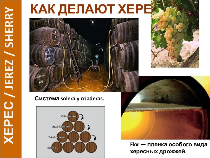 КАК ДЕЛАЮТ ХЕРЕС ХЕРЕС / JEREZ / SHERRY Система solera y criaderas.