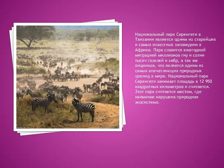 Национальный парк Серенгети в Танзании является одним из старейших и самых известных