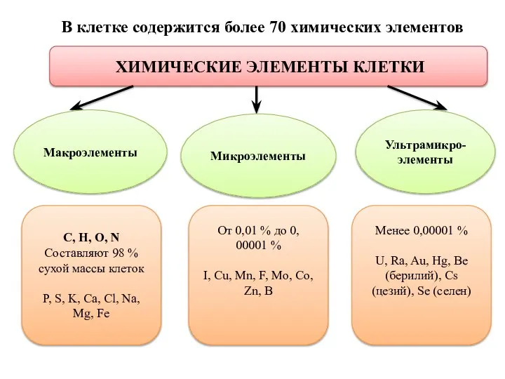 ХИМИЧЕСКИЕ ЭЛЕМЕНТЫ КЛЕТКИ Макроэлементы Микроэлементы Ультрамикро- элементы В клетке содержится более 70