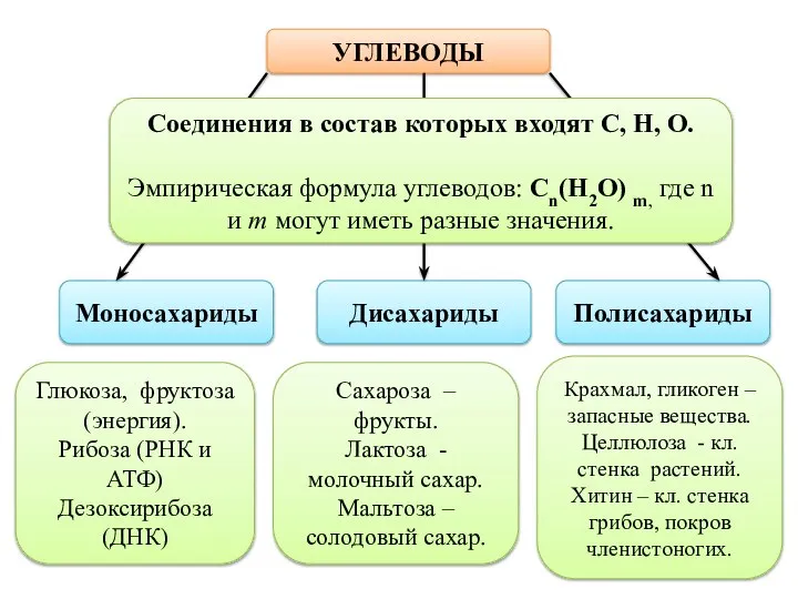 УГЛЕВОДЫ Моносахариды Дисахариды Полисахариды Соединения в состав которых входят C, H, O.