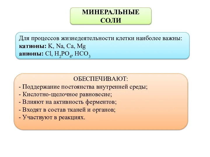 МИНЕРАЛЬНЫЕ СОЛИ Для процессов жизнедеятельности клетки наиболее важны: катионы: K, Na, Ca,