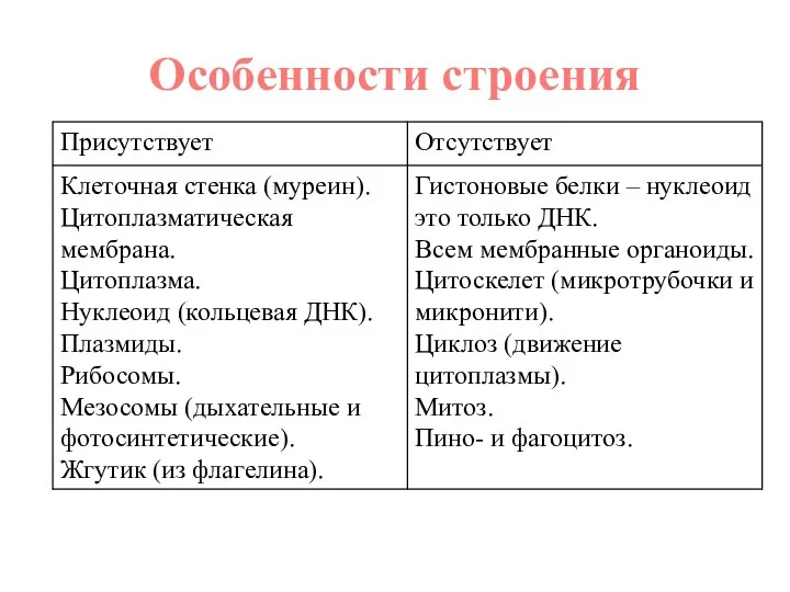 Особенности строения