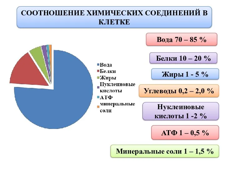 СООТНОШЕНИЕ ХИМИЧЕСКИХ СОЕДИНЕНИЙ В КЛЕТКЕ Вода 70 – 85 % Белки 10