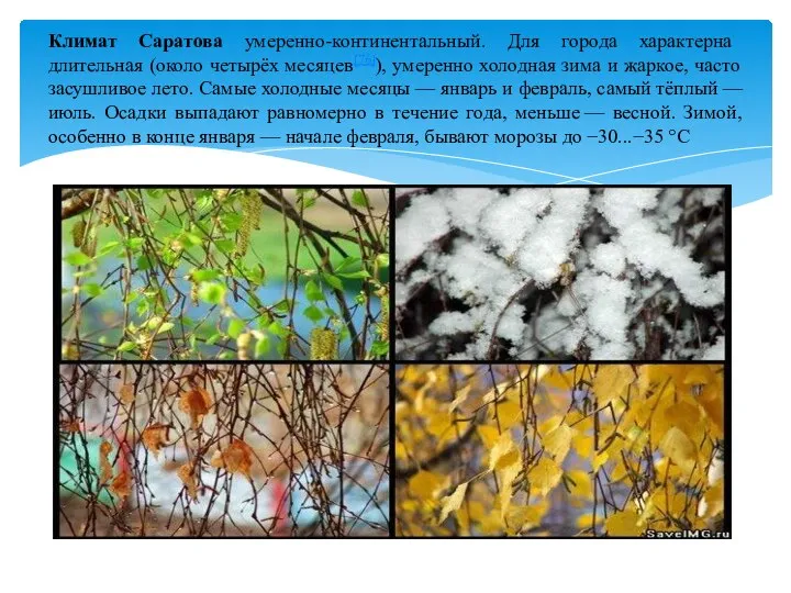 Климат Саратова умеренно-континентальный. Для города характерна длительная (около четырёх месяцев[76]), умеренно холодная