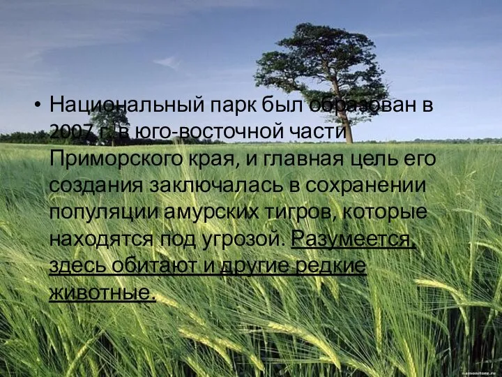 Национальный парк был образован в 2007 г. в юго-восточной части Приморского края,