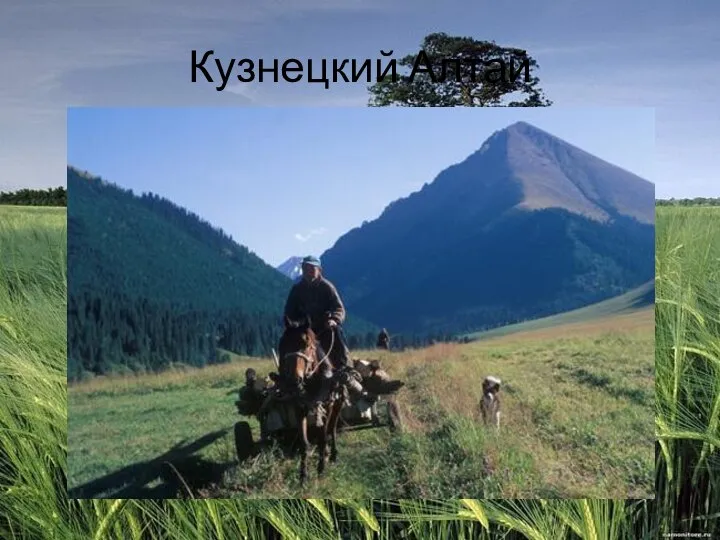 Кузнецкий Алтай