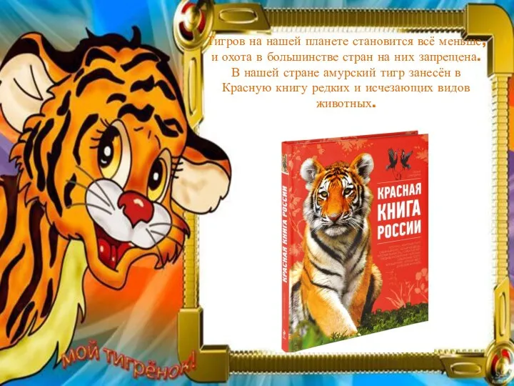 Тигров на нашей планете становится всё меньше, и охота в большинстве стран