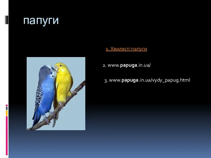 папуги 1. Хвилясті папуги 2. www.papuga.in.ua/ 3. www.papuga.in.ua/vydy_papug.html