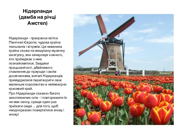 Нідерланди (дамба на річці Амстел) Нідерланди - прекрасна квітка Північної Європи, чудова
