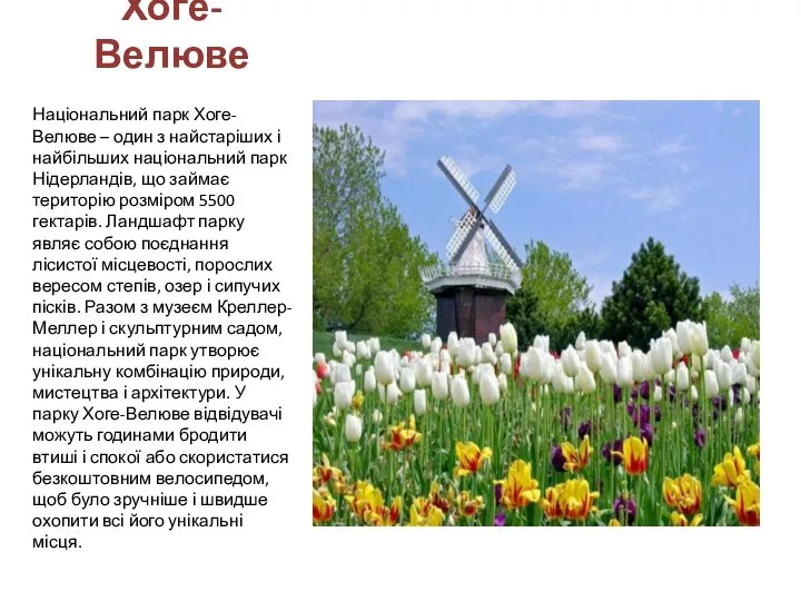 Хоге-Велюве Національний парк Хоге-Велюве – один з найстаріших і найбільших національний парк