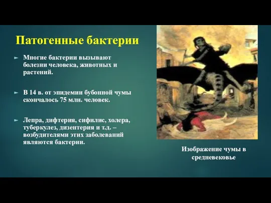 Патогенные бактерии Многие бактерии вызывают болезни человека, животных и растений. В 14