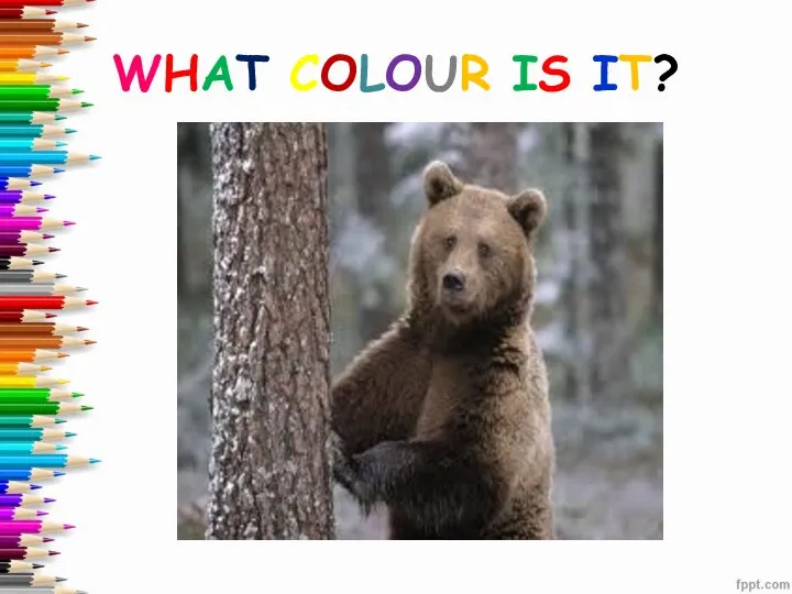 WHAT COLOUR IS IT?