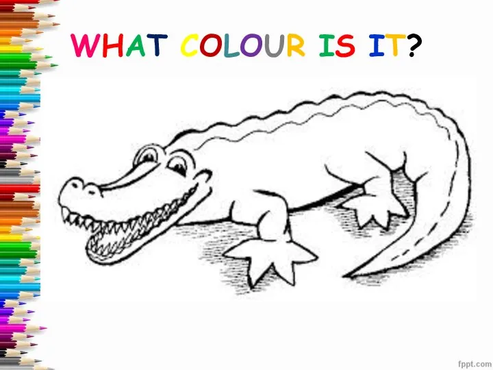 WHAT COLOUR IS IT?