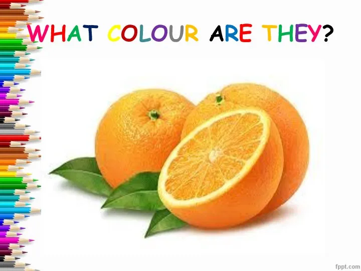 WHAT COLOUR ARE THEY?