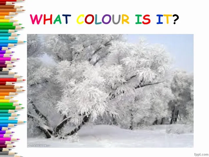 WHAT COLOUR IS IT?