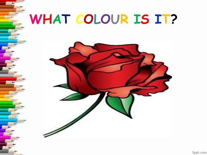 WHAT COLOUR IS IT?