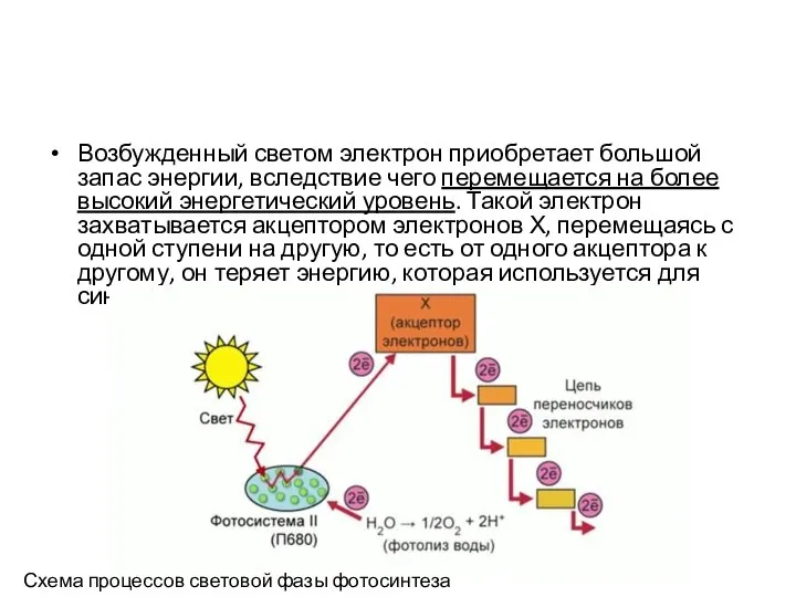 Возбужденный светом электрон приобретает большой запас энергии, вследствие чего перемещается на более