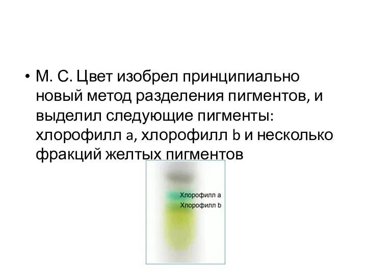 М. С. Цвет изобрел принципиально новый метод разделения пигментов, и выделил следующие