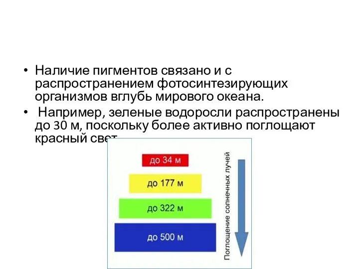 Наличие пигментов связано и с распространением фотосинтезирующих организмов вглубь мирового океана. Например,