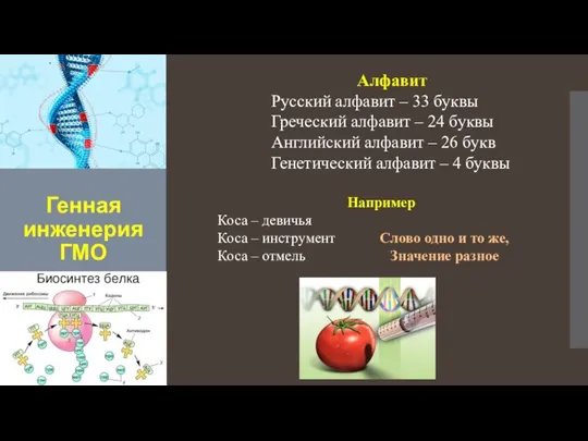 Генная инженерия ГМО Алфавит Русский алфавит – 33 буквы Греческий алфавит –