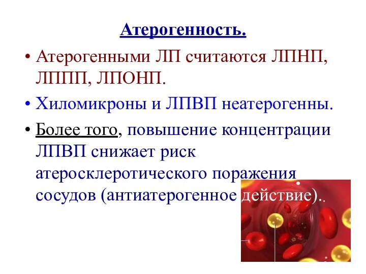 Атерогенность. Атерогенными ЛП считаются ЛПНП, ЛППП, ЛПОНП. Хиломикроны и ЛПВП неатерогенны. Более