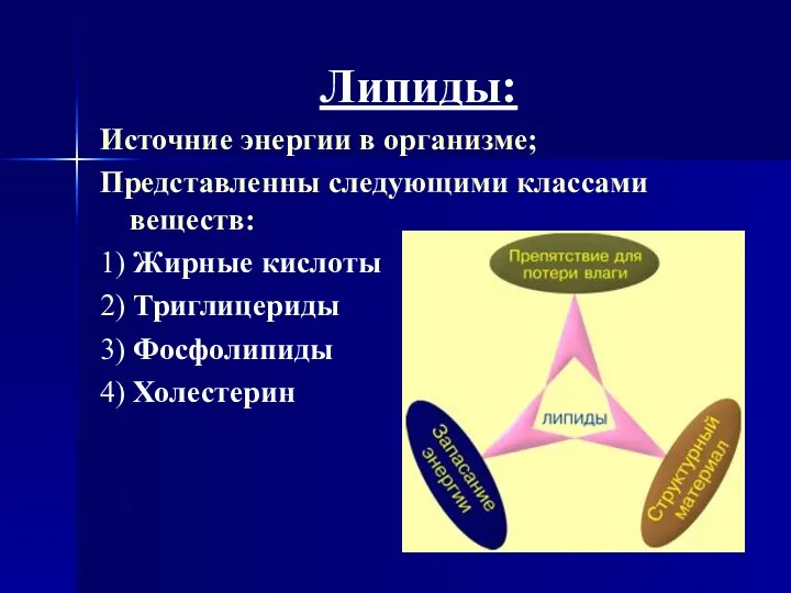 Липиды: Источние энергии в организме; Представленны следующими классами веществ: 1) Жирные кислоты