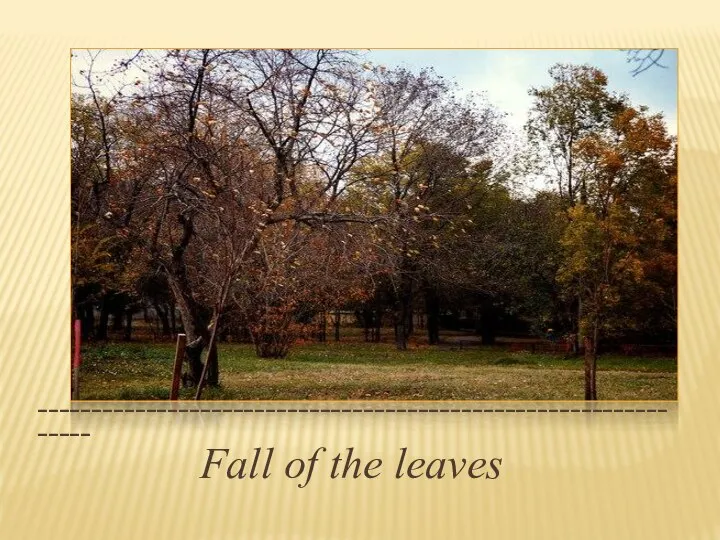 _______________________________________________________________ Fall of the leaves